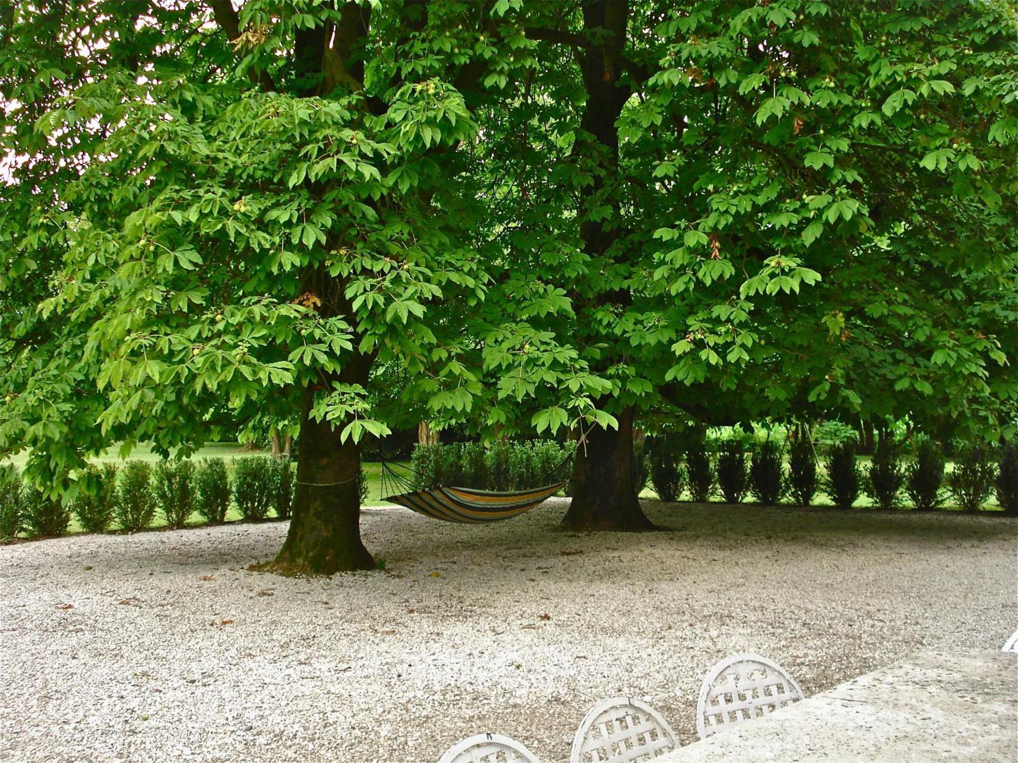 Villa Maffei Rizzardi Palu Екстер'єр фото
